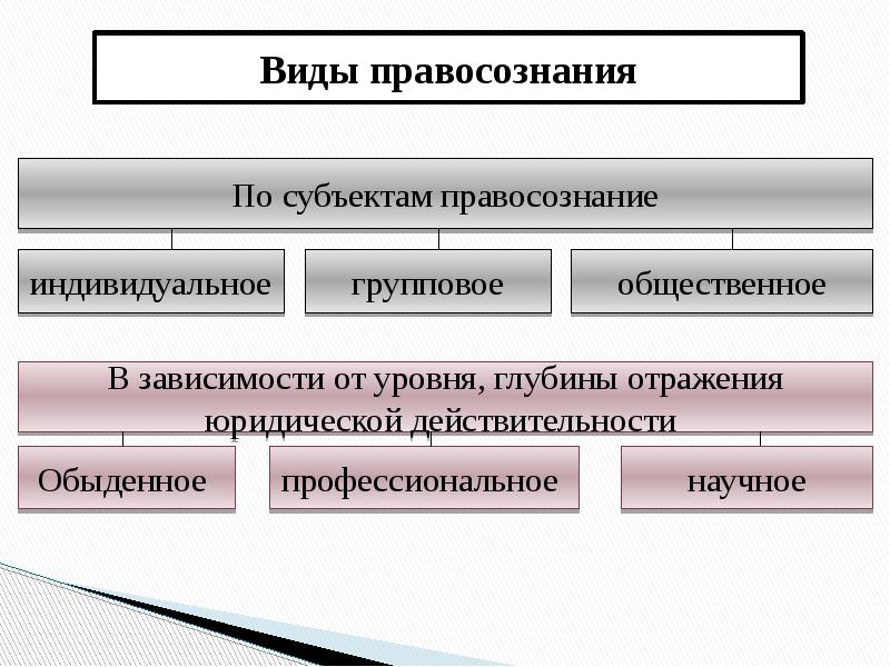 Правосознания правоотношения презентация