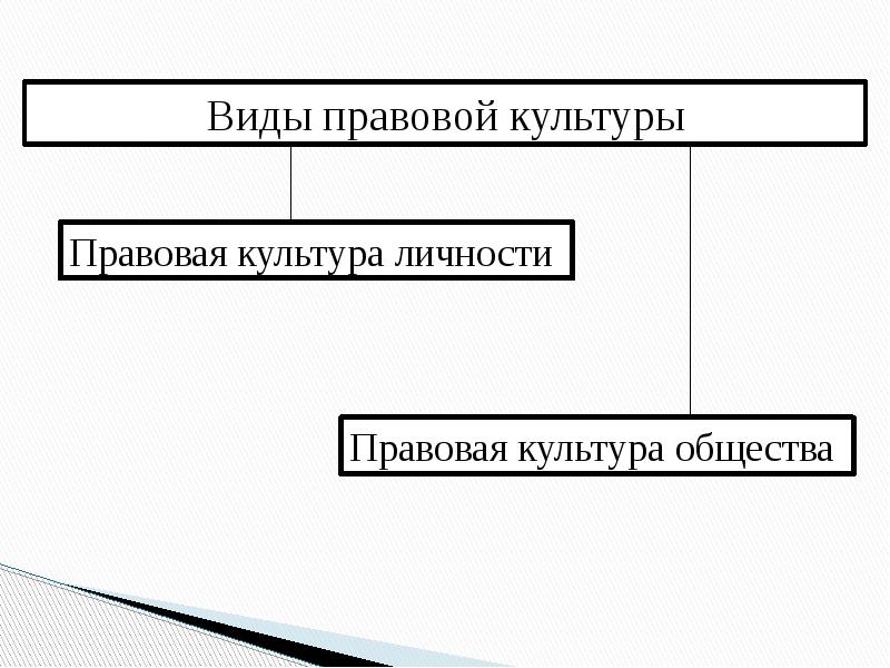 План по теме правосознание и правовая культура