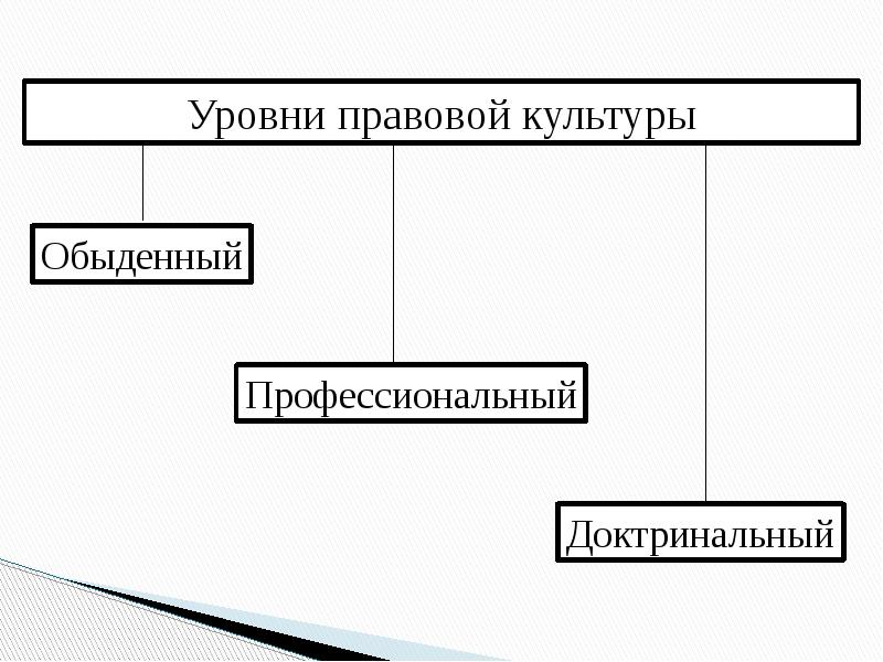 Виды правовой культуры схема