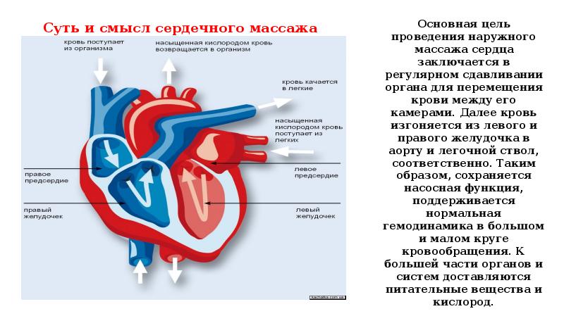 Спортивное сердце презентация