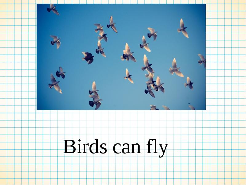 Can birds fly and sing. Bird can Fly. People can Fly проекты. I can Fly картинки для детей. A little Bird can Fly Worksheets.