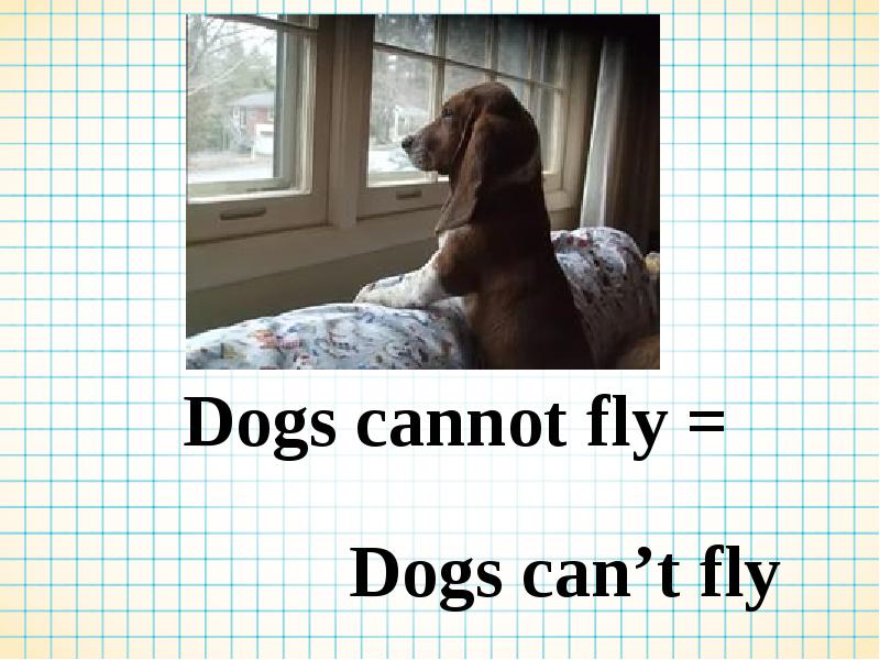 A dog can fly. Can a Dog Fly ответ на вопрос. I cant Fly. I can't Fly. Can't Fly.