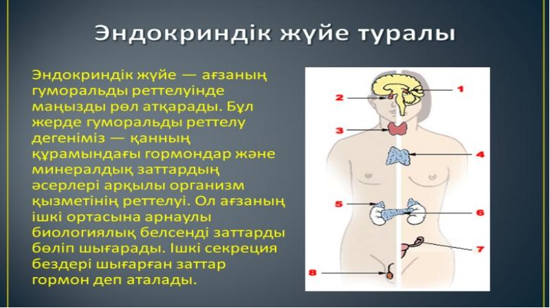 Ішкі секреция бездері аурулары презентация