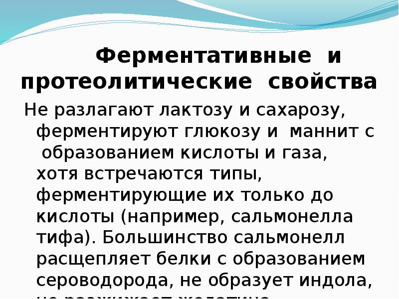 Кишечные инфекции брюшной тиф презентации