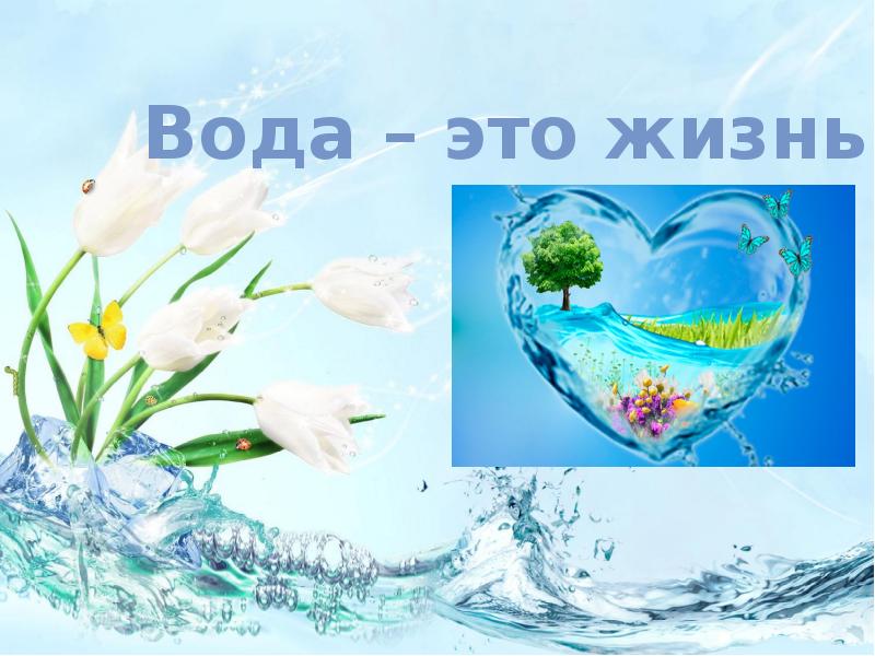 Презентация вода основа жизни