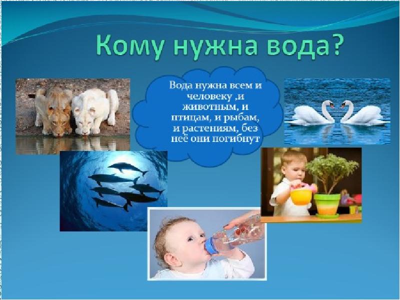 Презентация жизнь группы