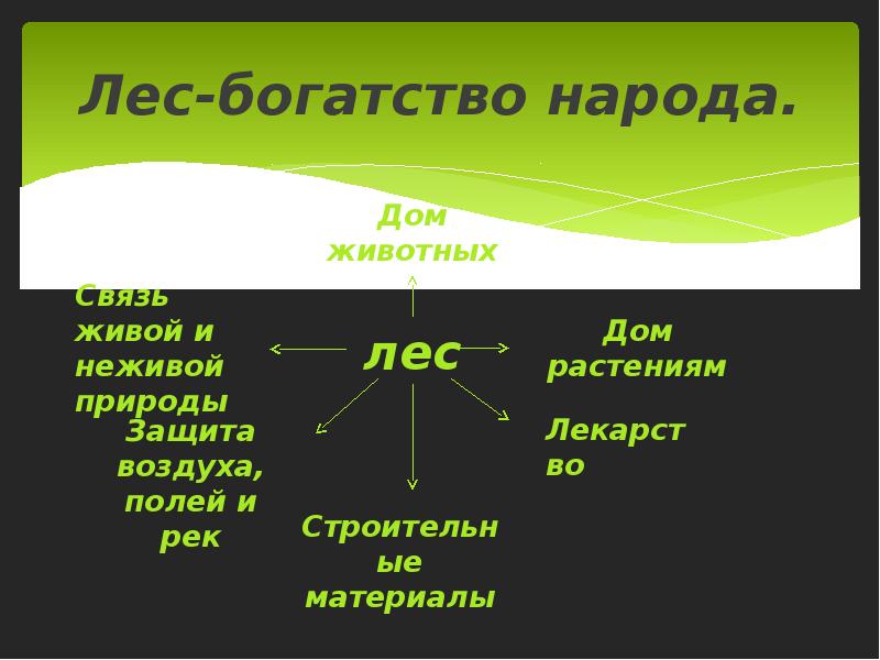 Презентация лес наше богатство для подготовительной группы