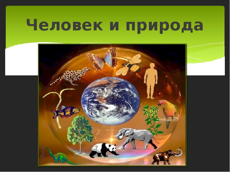 Природа и человек география 10. Проект человек и природа. Человек и природа доклад. Человек и природа презентация. Природа и человек география.