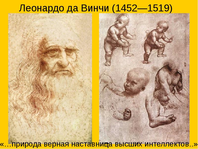 Эпоха возрождения в биологии. Леонардо да Винчи 1452-1519 биологии. Эпоха Возрождения биология.