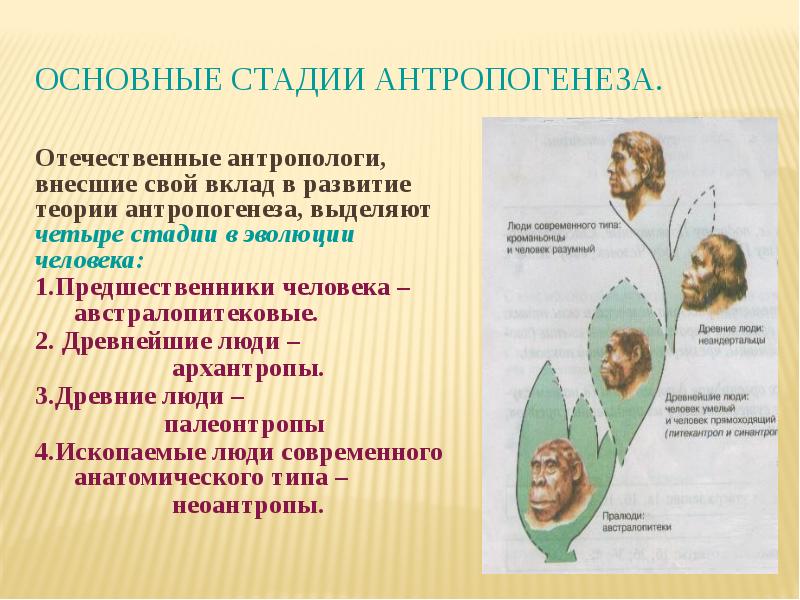 В развитии человечества выделяют