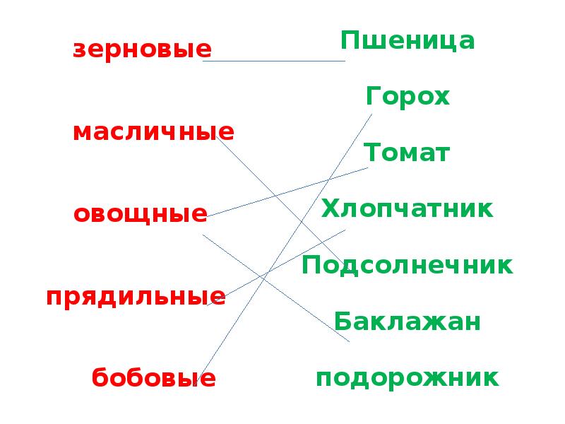 Зерновые овощные масличные прядильные кормовые