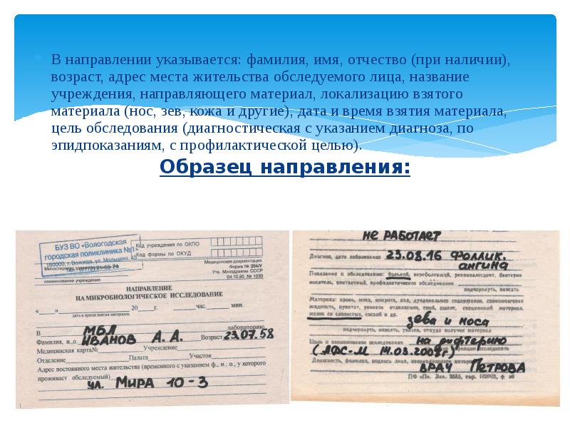 Учреждение направило. Фамилия имя отчество при наличии что означает. Направления на исследования медсестры. Образец направление медсестры. Отчество при наличии.