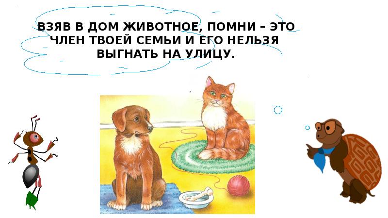 Презентация кошки и собаки