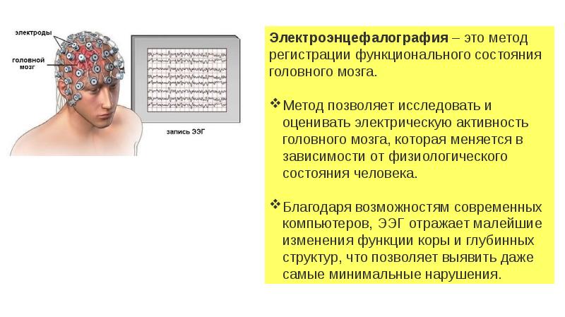 Кори 7. Электроэнцефалография головного мозга доклад. Электрическая активность коры БП это.