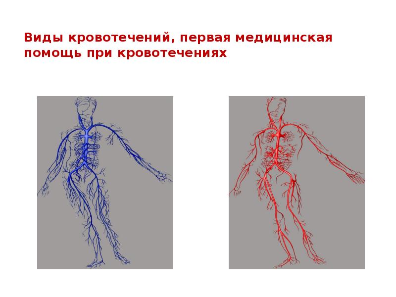 Какое кровотечение на рисунке