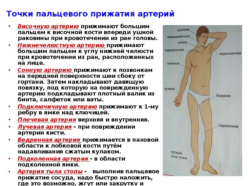 Как производится пальцевое прижатие подключичной артерии