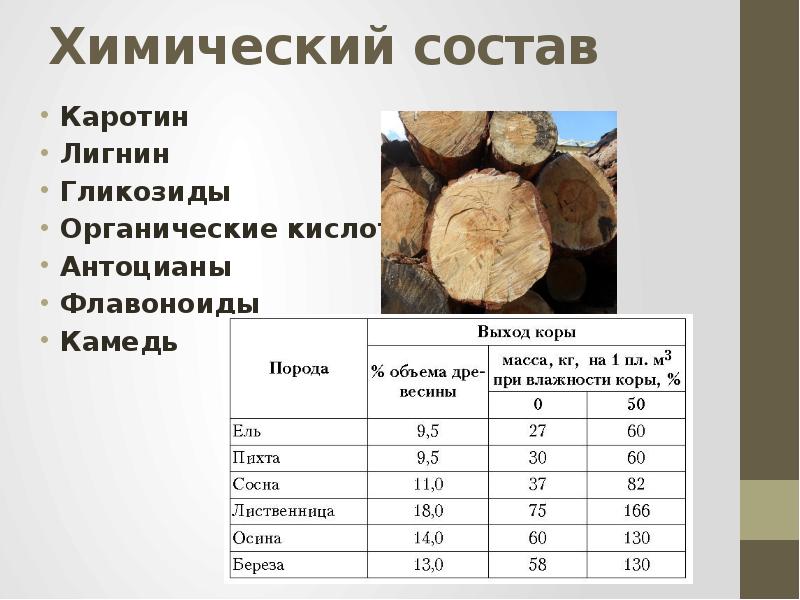 Масса среднего образца семян сосны ели и лиственницы составляет