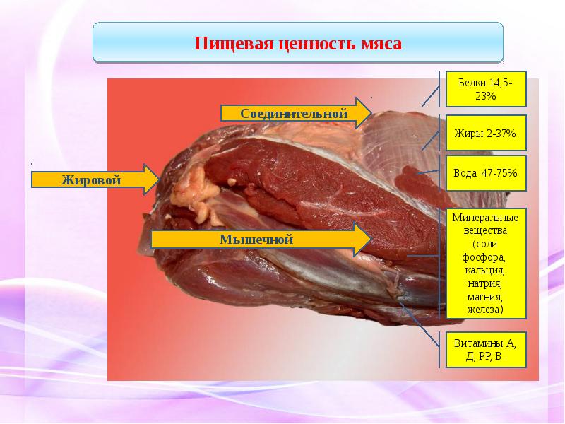 Презентация на тему первичная обработка мяса