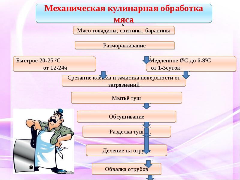 Технология первичной обработки мяса 6 класс фгос презентация