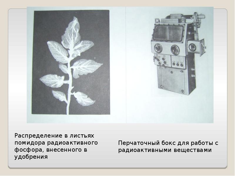 Получение радиоактивных изотопов и их применение в медицине презентация