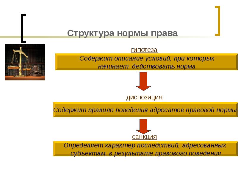 Источники права система права презентация