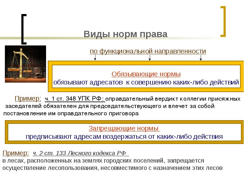 Понятие и виды норм права презентация