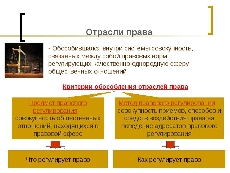 Понятие права система права источники права презентация 10 класс никитин