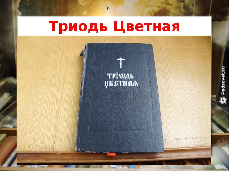 Триодь Цветная