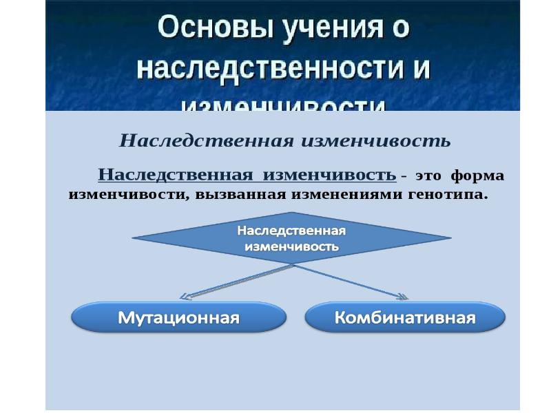 Наследственная изменчивость презентация 10 класс профильный уровень