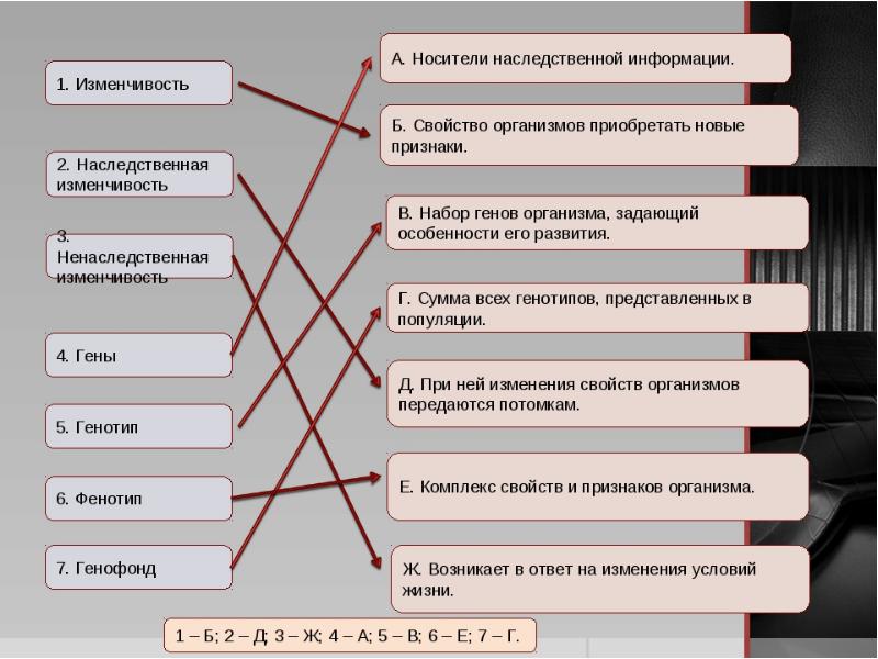 Презентация тест изменчивость