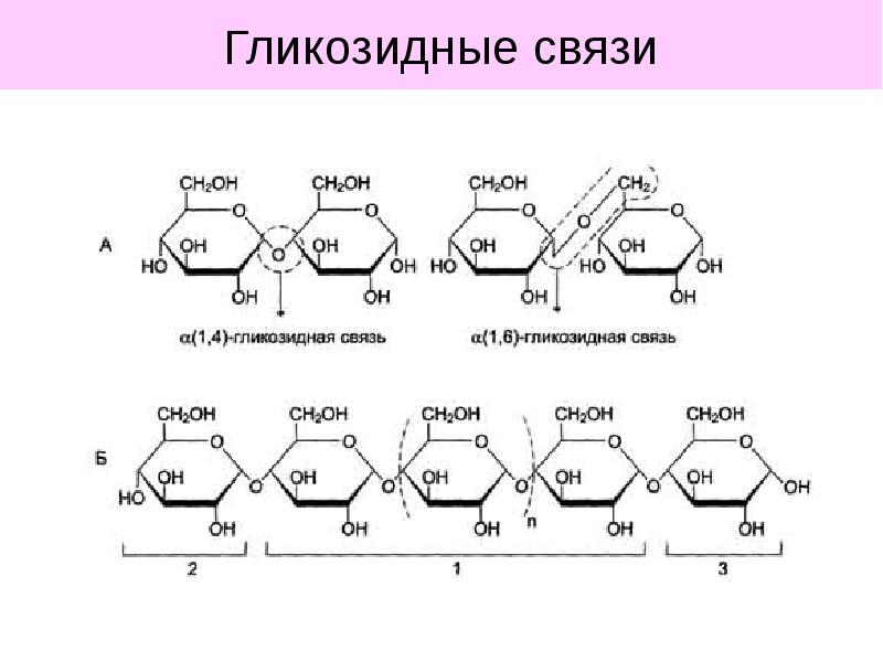 Связь 1 6. Бета 1 4 гликозидная связь. Альфа –1,4 – гликозидные связи. Тип гликозидной связи амилозы. Альфа-(1-4) Тип гликозидной связи.
