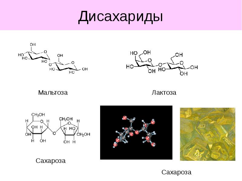 химическую структуру мальтоза. дисахариды примеры. мальтоза лактоза сахароза относится к. мальтоза лактоза сахароза относится к. дисахариды и олигосахариды.