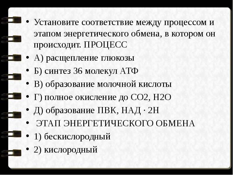 Установите соответствие между этапами энергетического обмена