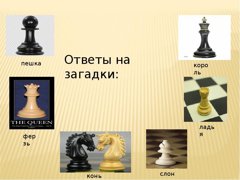 Знакомство С Шахматной Фигурой Конь Презентация