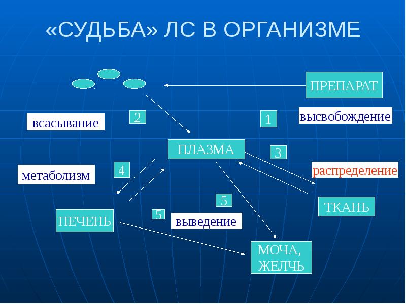 Лекция по фармакологии презентация