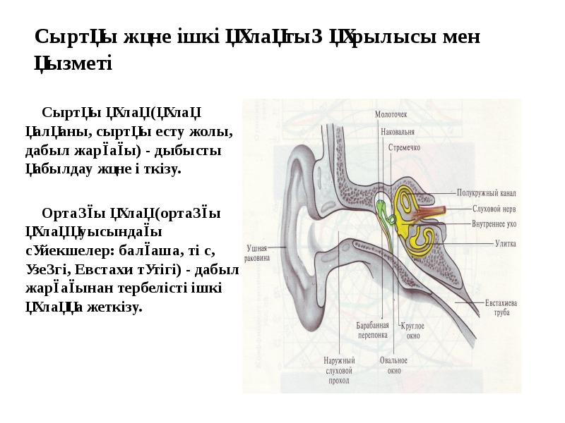 Есту места. Есту места