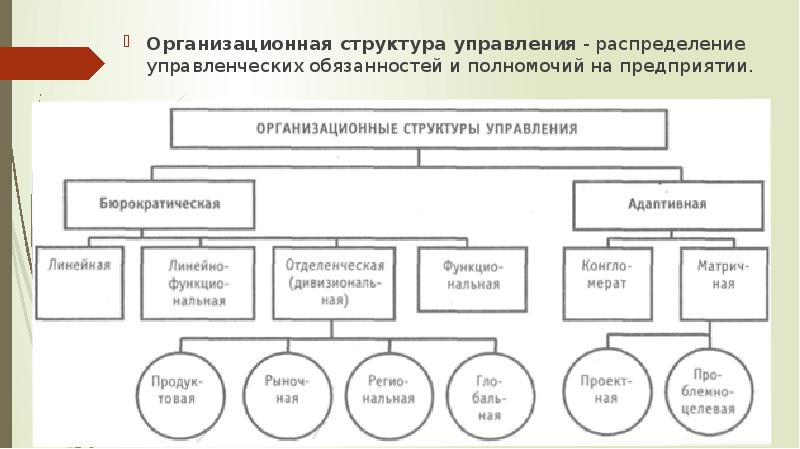 Организационные структуры презентация