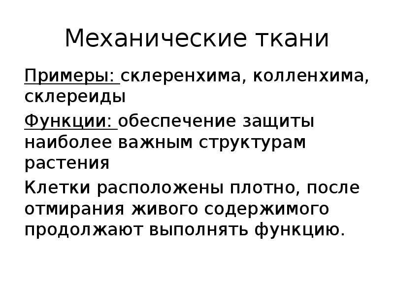 Плотно расположенные. Склереиды функции. Склереиды строение и функции. Какую функцию выполняют склереиды. Функция склереиды у растений.