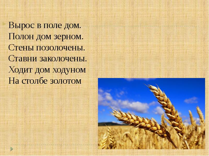 Загадки о поле. Вырос в поле дом полон дом зерном стены позолочены ставни заколочены. Вырос в поле дом полон. Загадка вырос в поле дом. Дом в поле.