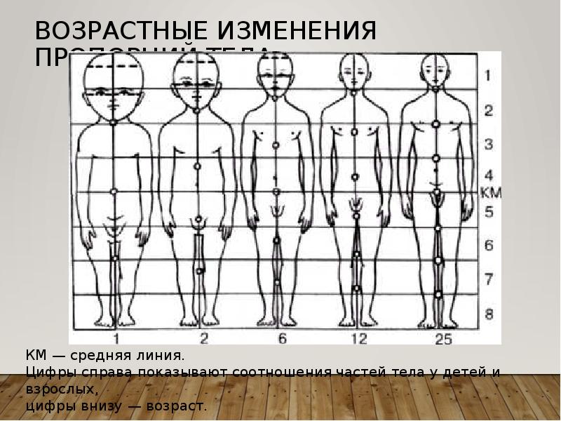 Презентация смешные человечки пропорции выражают характер изо 2 класс