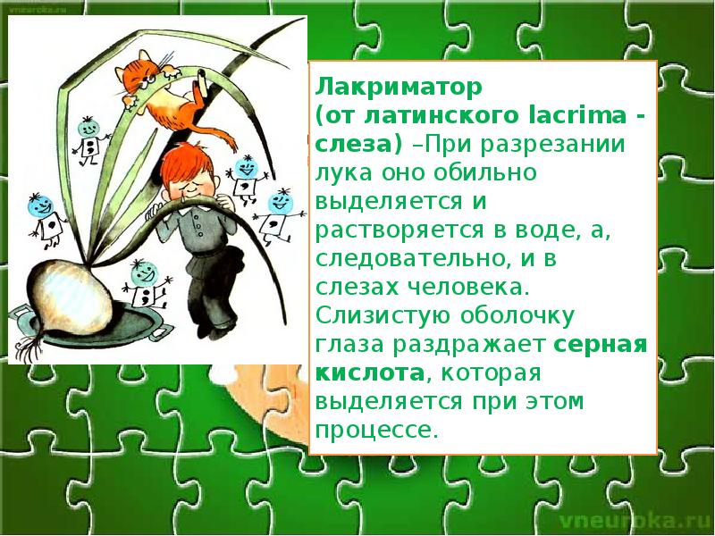 Лакриматор. Лакриматор в луке. Лакриматор. Физико химическое свойства лакриматоров. Лук щиплет глаза.