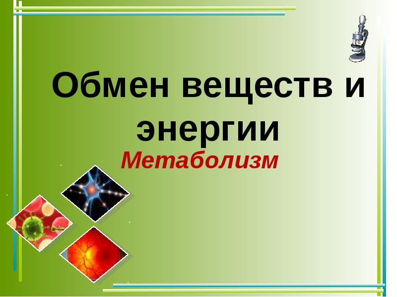 Принципы обмена. Классификация животных и основные систематические группы. Классификация животных и основные систематические группы 7 класс. Классификация животных 7 класс. Классификация животных презентация.