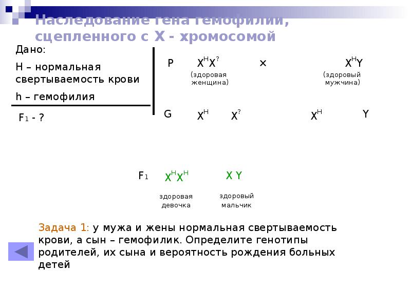 Задачи по биологии сцепленные с полом