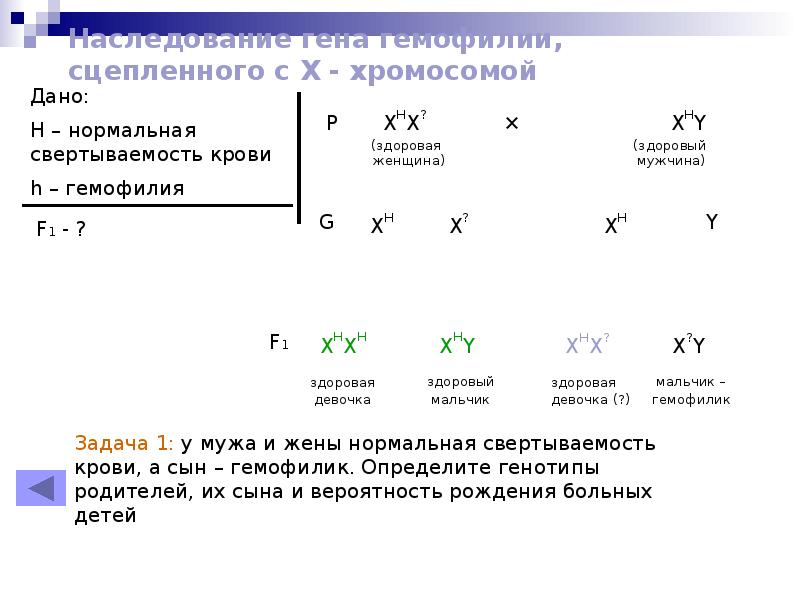 Гены сцепленные с у хромосомой. Гемофилия сцепленное с полом. Задачи на генетику ген сцепленный с полом. Задачи по генетике сцепленные с полом. Гены сцепленные с х-хромосомой.