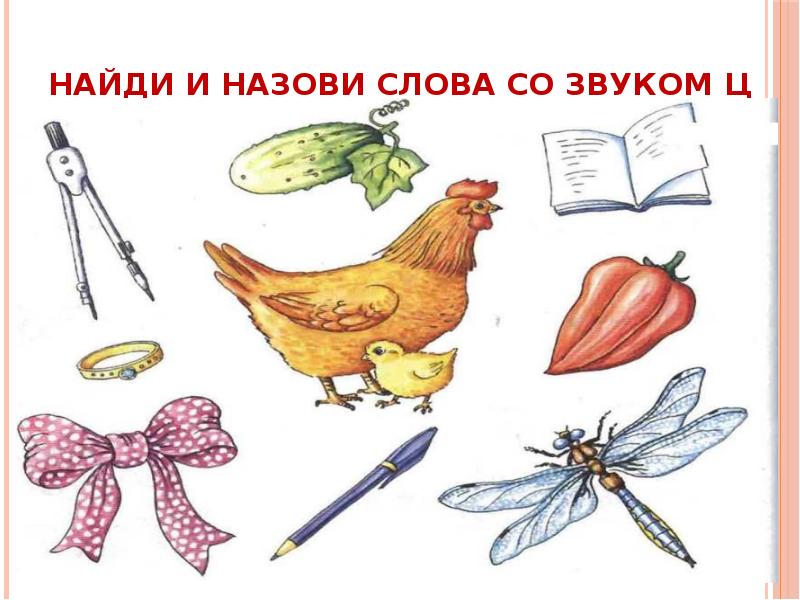 Картинки на звук ц