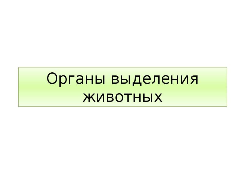 Органы выделения животных 7 класс презентация