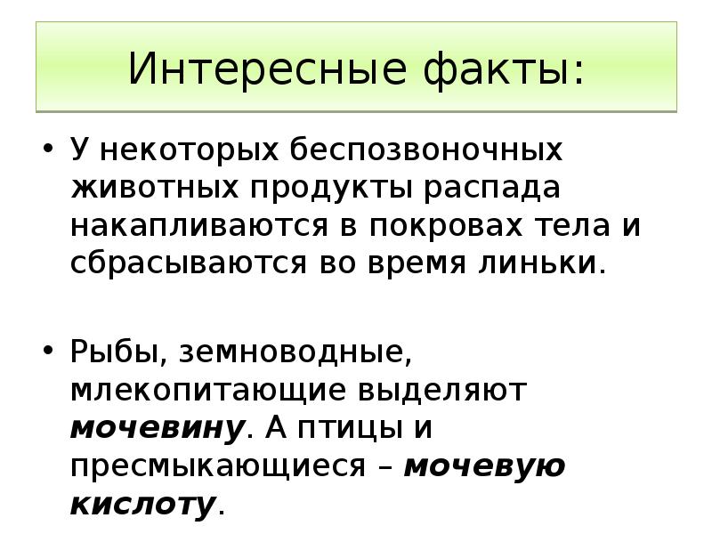 Органы выделения животных 7 класс презентация