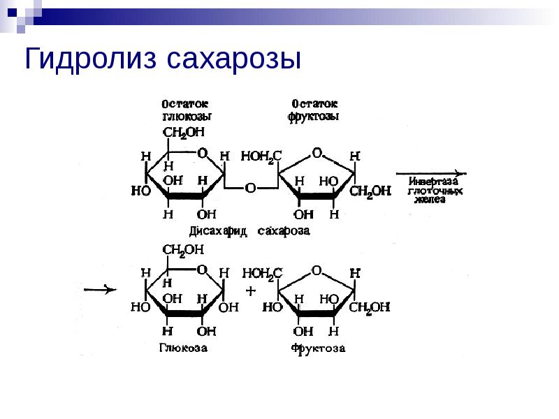 Олигосахариды сахароза презентация 10 класс