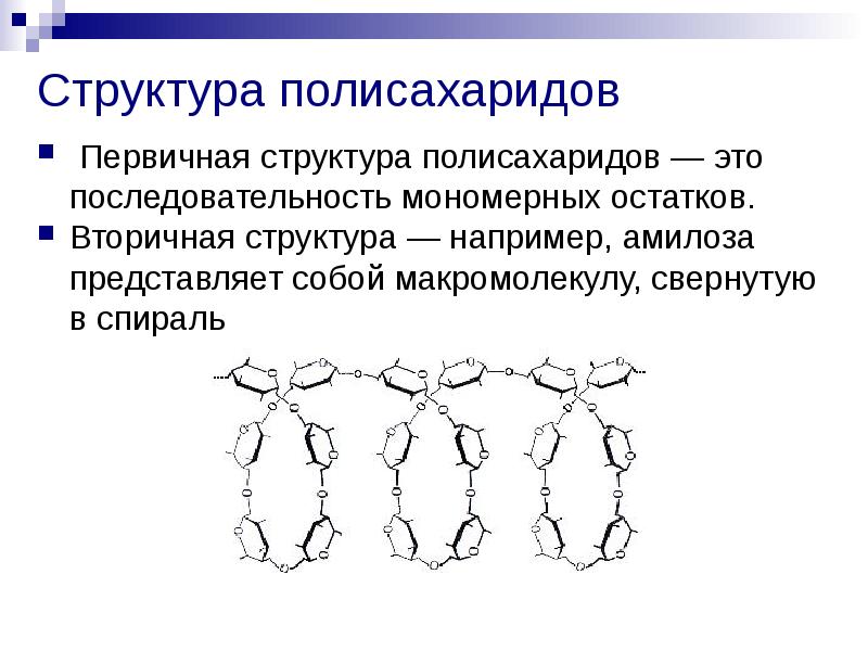 Презентация по полисахаридам