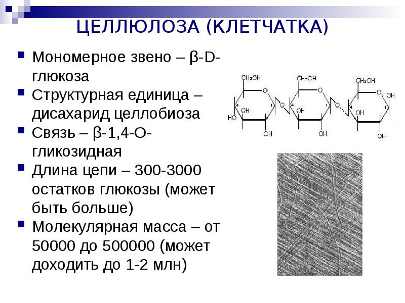Презентация по химии 10 класс полисахариды
